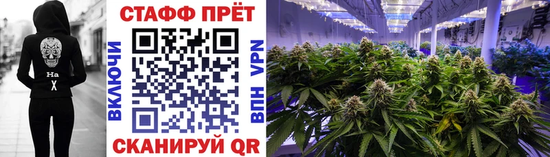 Где купить наркотики Королёв Псилоцибиновые грибы Альфа ПВП Гашиш Меф мяу мяу COCAIN МАРИХУАНА