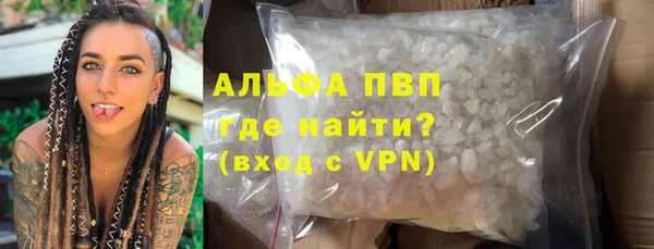 молекула духа Арсеньев