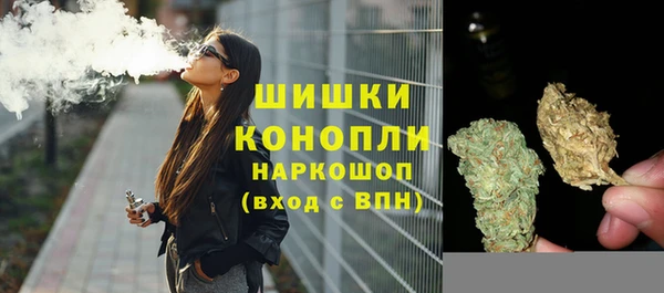 прущие грибы Армянск