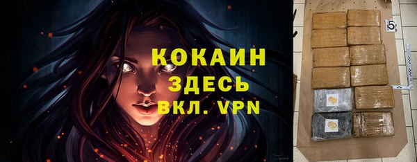 молекула духа Арсеньев