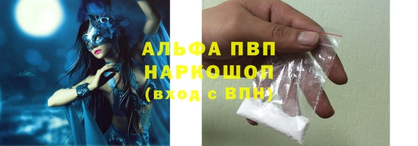 прущие грибы Армянск