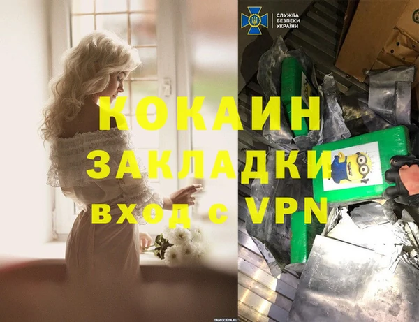 молекула духа Арсеньев