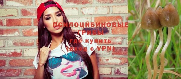 метадон Аркадак