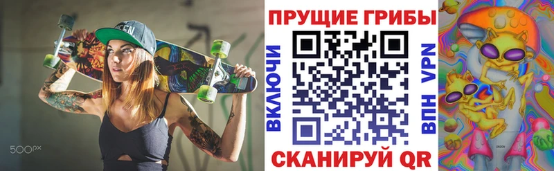 Псилоцибиновые грибы GOLDEN TEACHER  Королёв 